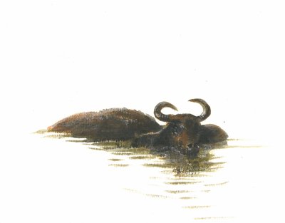 Water Buffalo 2, 2015 by Lincoln Seligman